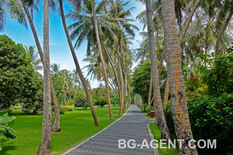 Sun Island Resort & Spa