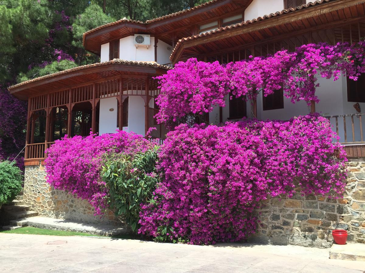 Letoonia Club & Hotel