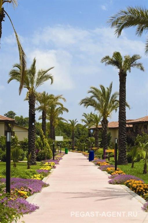 Club Hotel Felicia Village