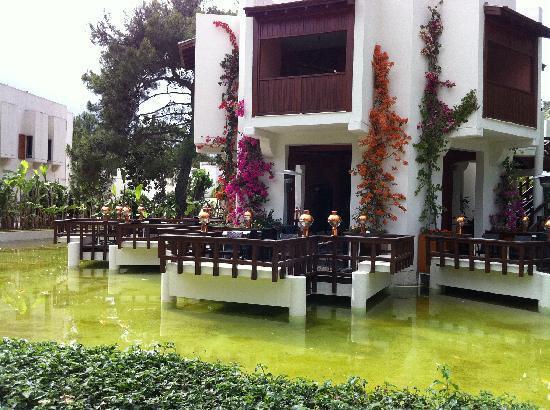 Club Med Kemer Palmiye